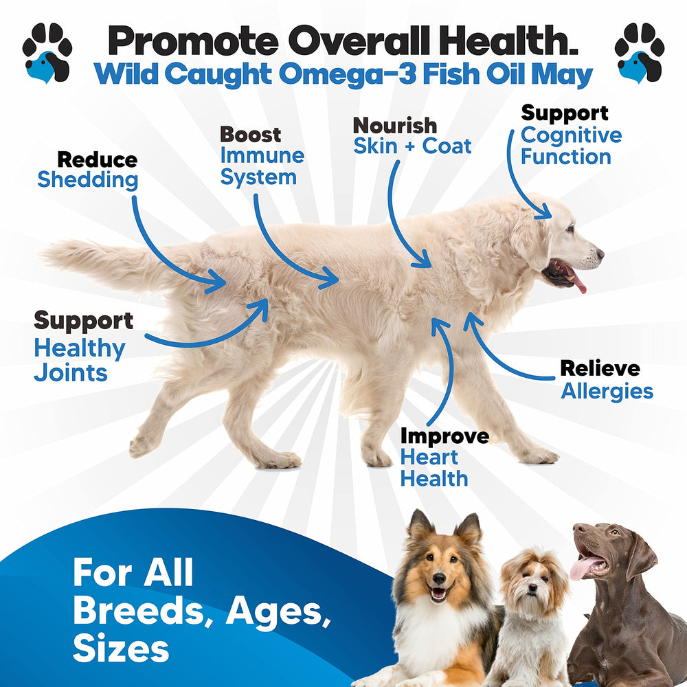 Planopaws Dose huile poisson chiens: administration pratique sur la nourriture.