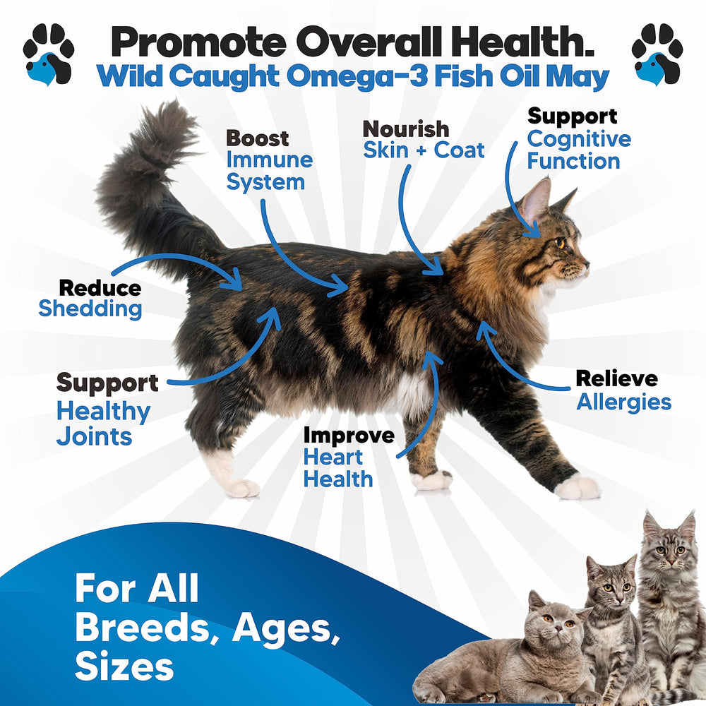 Planopaws Omega-3 dispensador gatos: dosificación rápida para la comida.