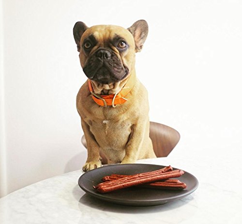 PLATO Pensadores Pato 10oz con ingredientes limitados para perros sensibles