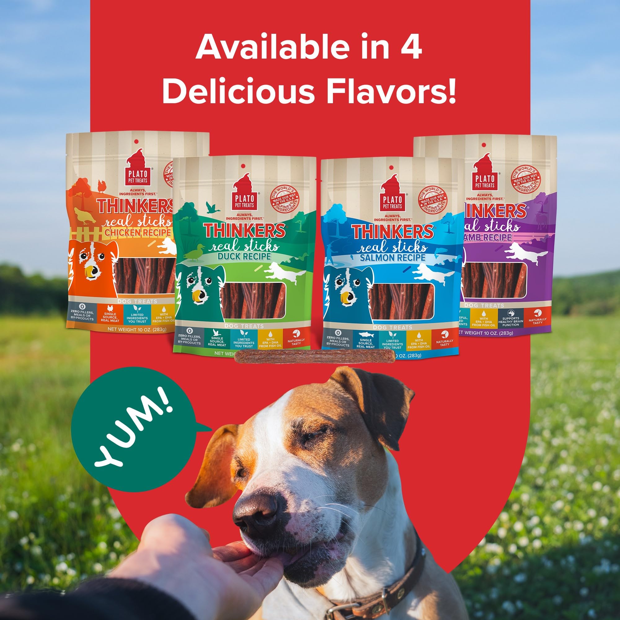 PLATO Pensadores Pato 10oz sin trigo para perros con estomagos sensibles