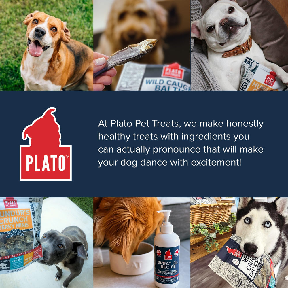 PLATO premio natural para perros durante el entrenamiento