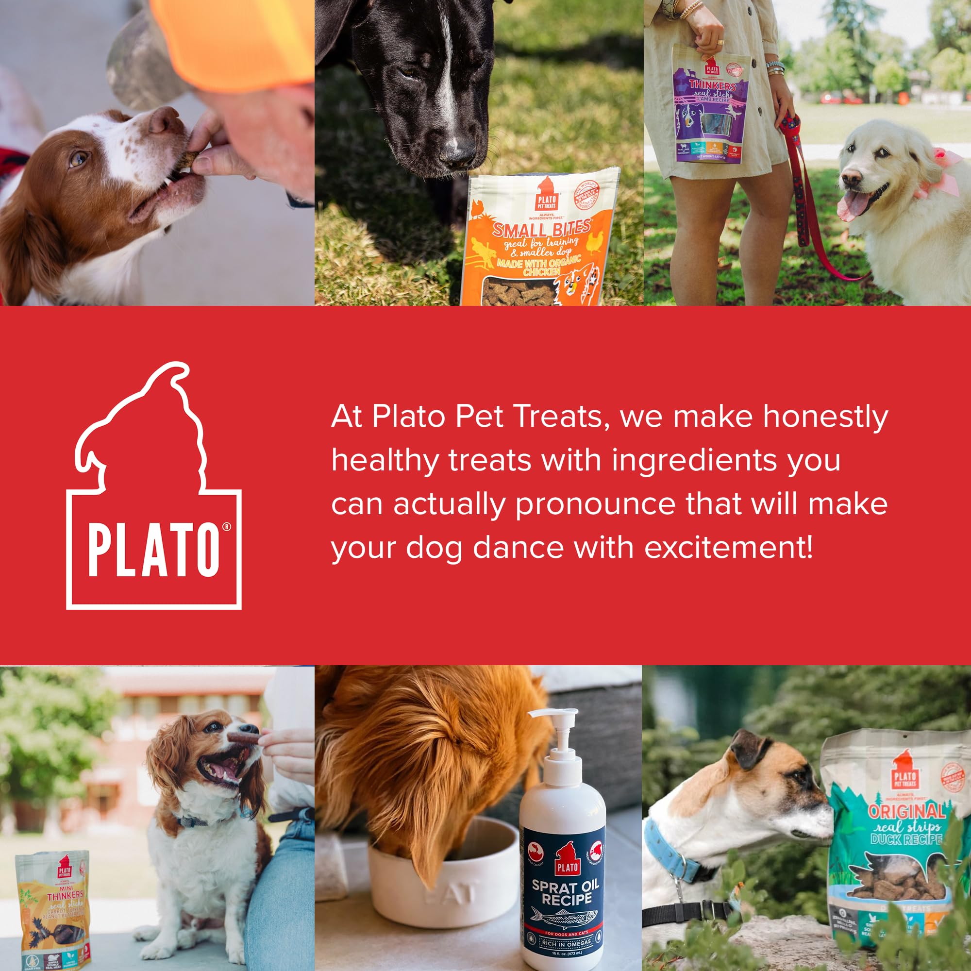 Plato Real Strips nutricion-equilibrada: complemento sabroso para dieta equilibrada.
