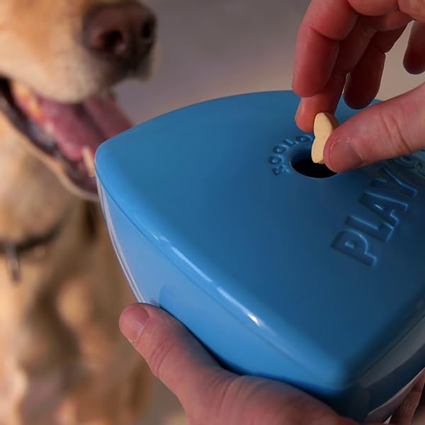 Play 9 Roolo adecuado para perros de todos los tamaños.