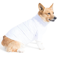 Camiseta solar PlayaPup para perro, vista frontal, protección UPF 50+