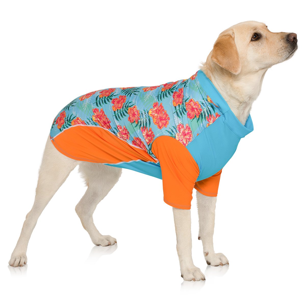 PlayaPup estampado isla tropical para paseos con estilo