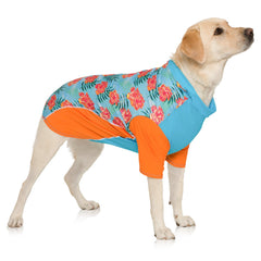 PlayaPup estampado isla tropical para paseos con estilo