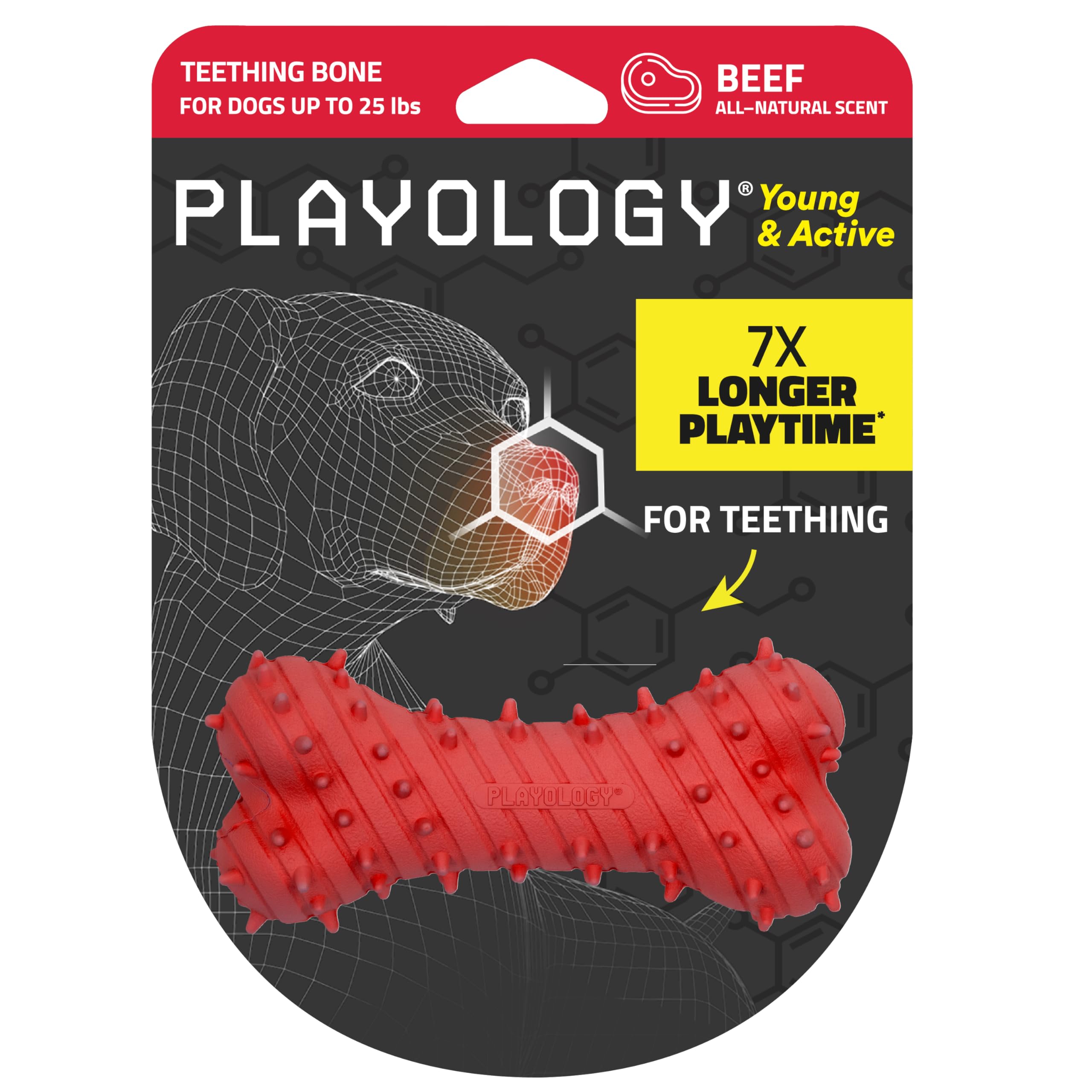 Playology hueso de dentición pequeño con olor a carne para cachorros.