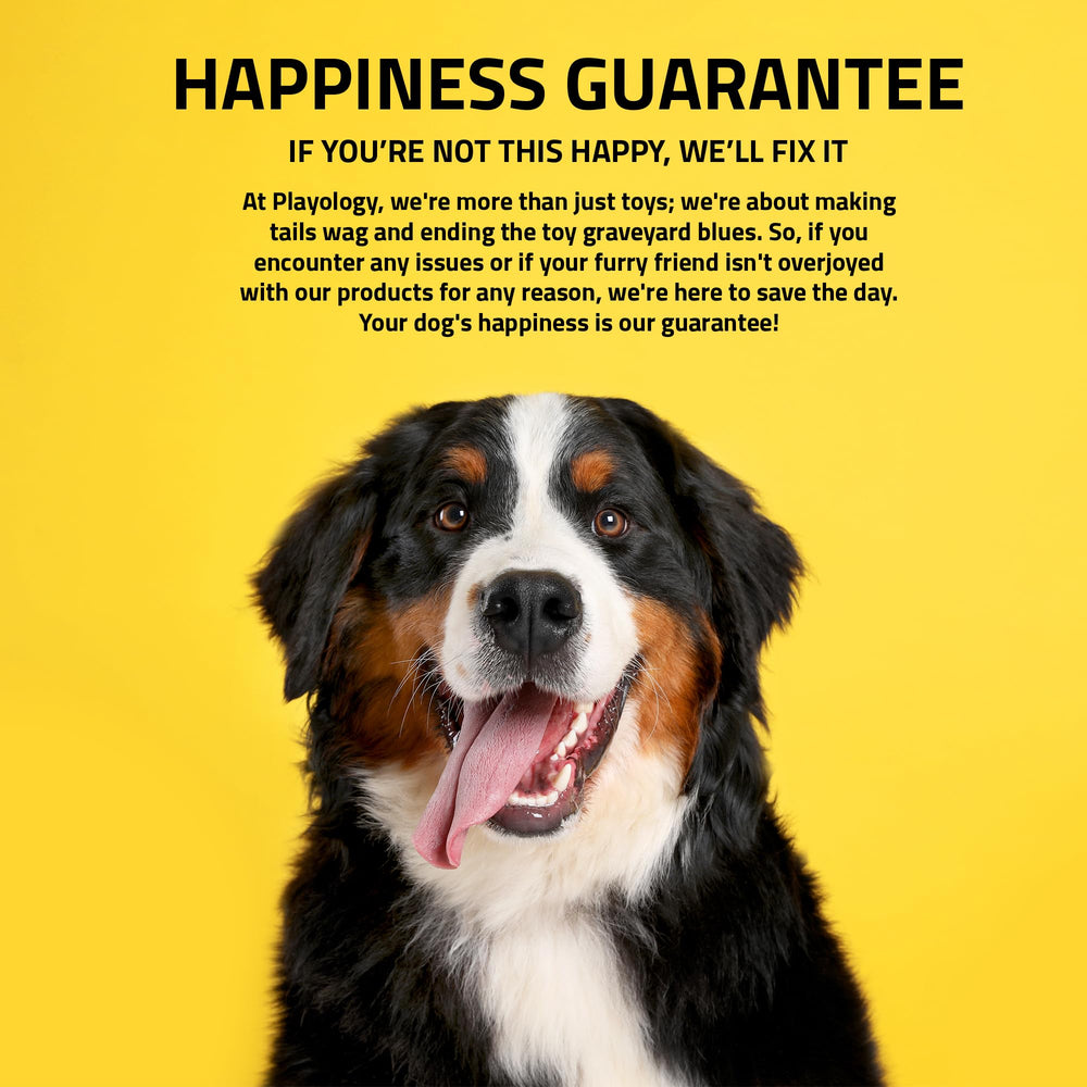 Playology: regalo ideal para perros grandes que aman jugar.