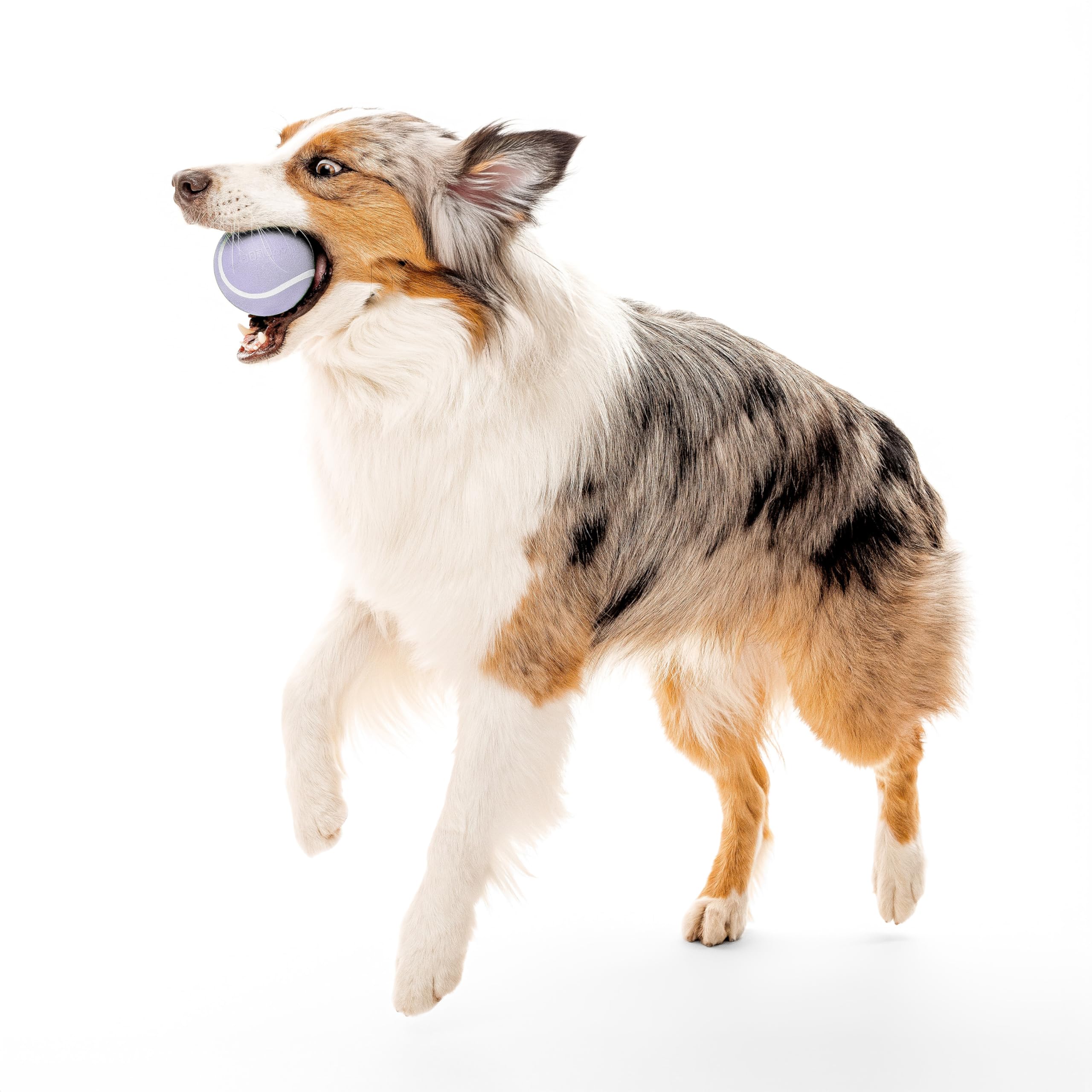 Playology Squeaky Chew Ball, resistente para uso interior y exterior, ideal para perros grandes