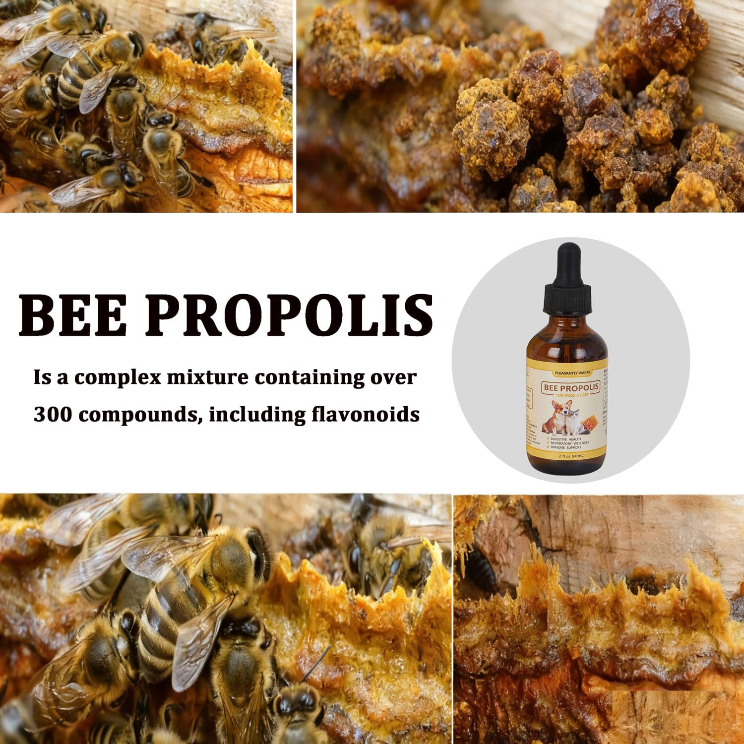 Mezcla de Pleasantly Warm Propolis en comida, complemento diario fácil.