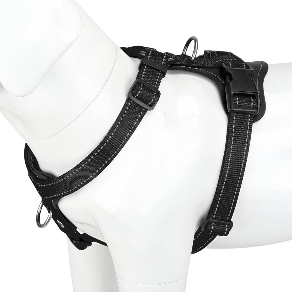 Arnés PLUTUS PET ajustable sin tirones con clip frontal para entrenamiento.