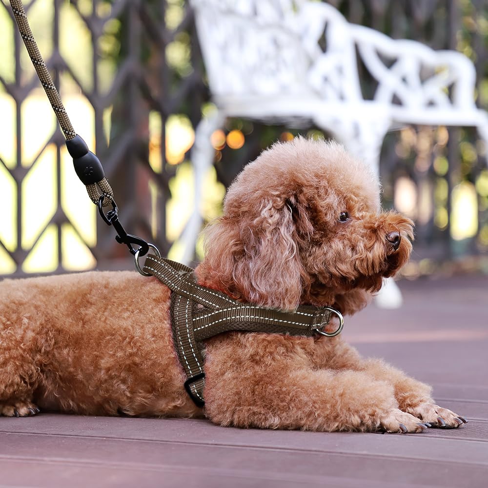 PLUTUS PET arnés con anillo espalda para caminatas