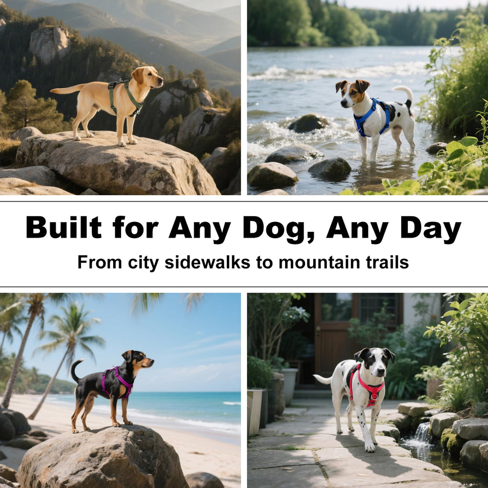 PLUTUS PET arnés ideal para caminatas y aventuras al aire libre