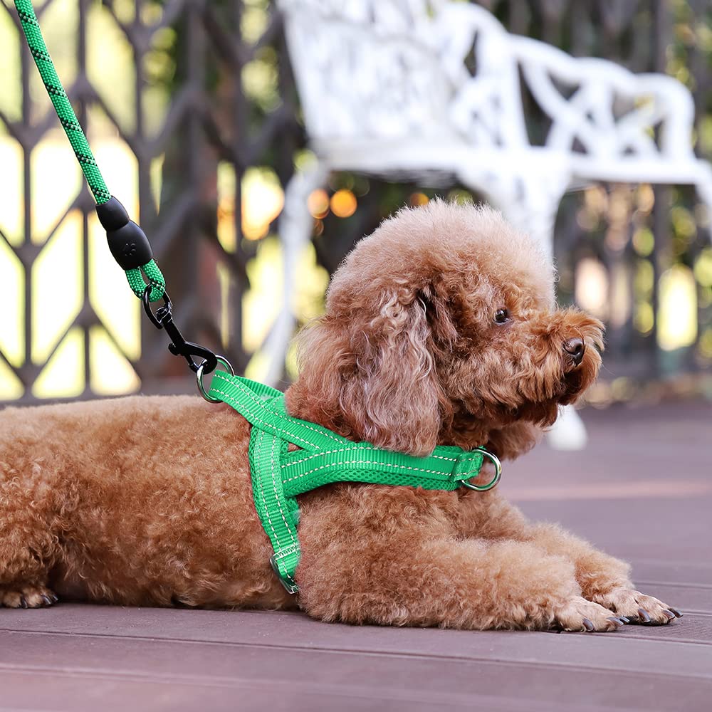 Arnés Plutus Pet con D-rin en pecho y aro trasero para control.