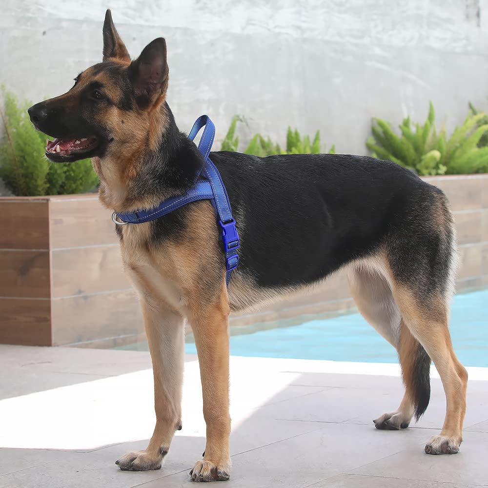 PLUTUS PET arnés de nylon resistente, ideal para uso diario y entrenamiento.