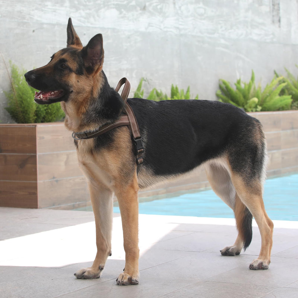 Arnés nylon resistente de PLUTUS PET para perros activos