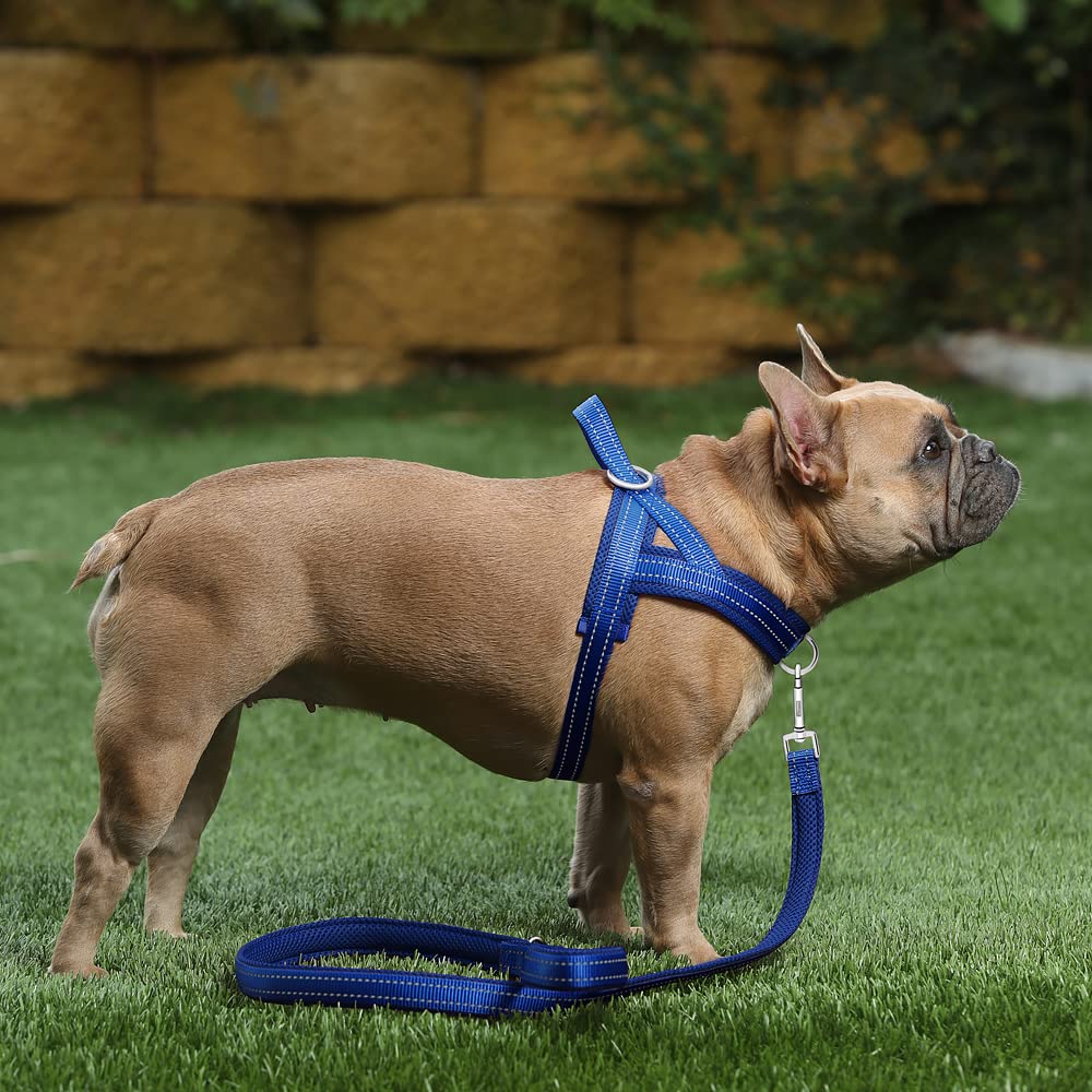 Plutus Pet arnés con ajuste y seguridad para tallas variadas