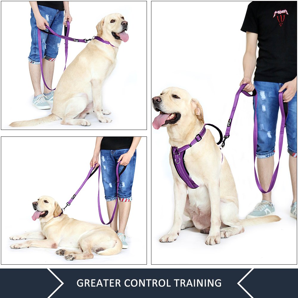 PLUTUS PET correa reflectiva de doble cara para seguridad nocturna