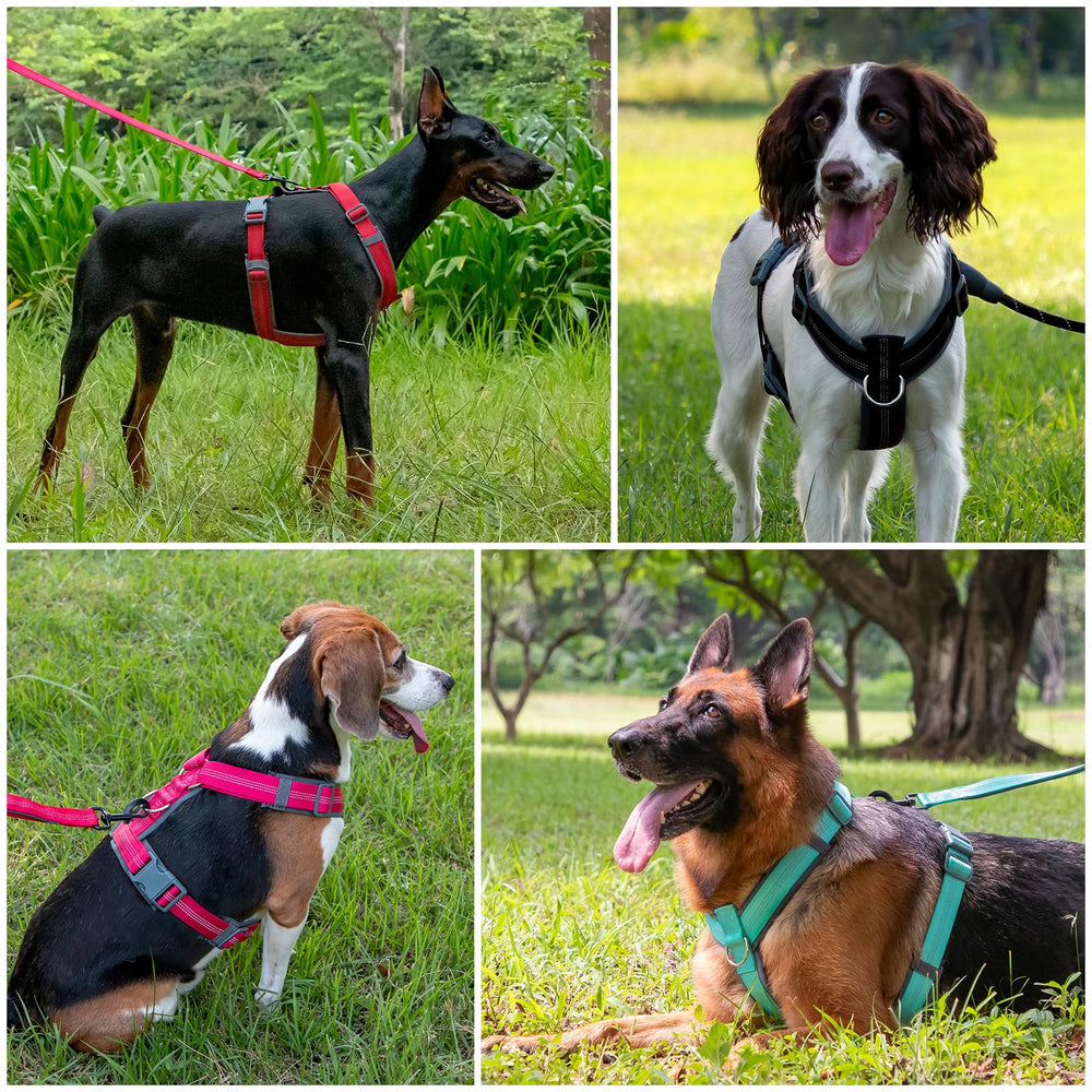 PLUTUS PET diseño en Y facilita libertad de movimiento del perro.