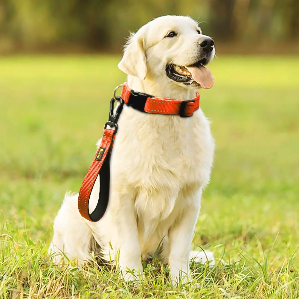 PLUTUS PET garantía de reemplazo si surge algún problema