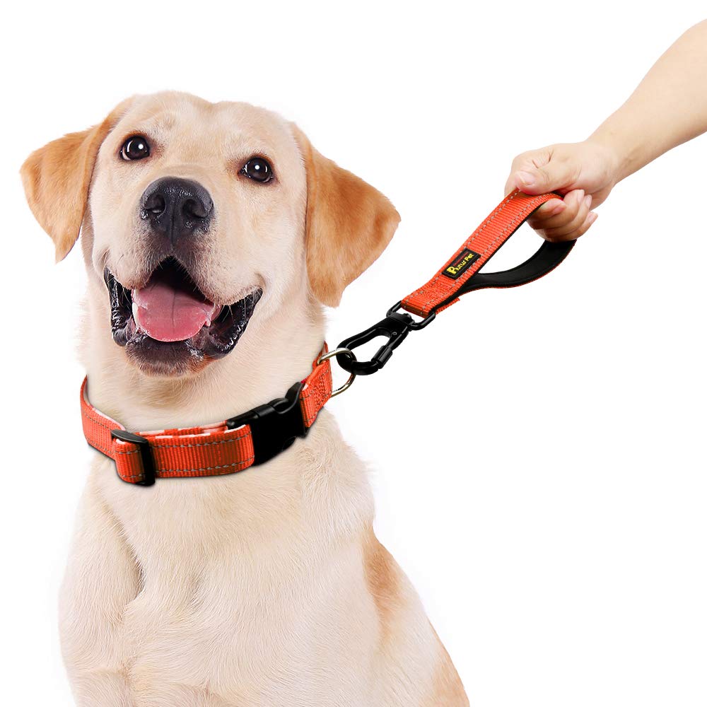 PLUTUS PET mosquetón de seguridad con bloqueo automático para mayor protección