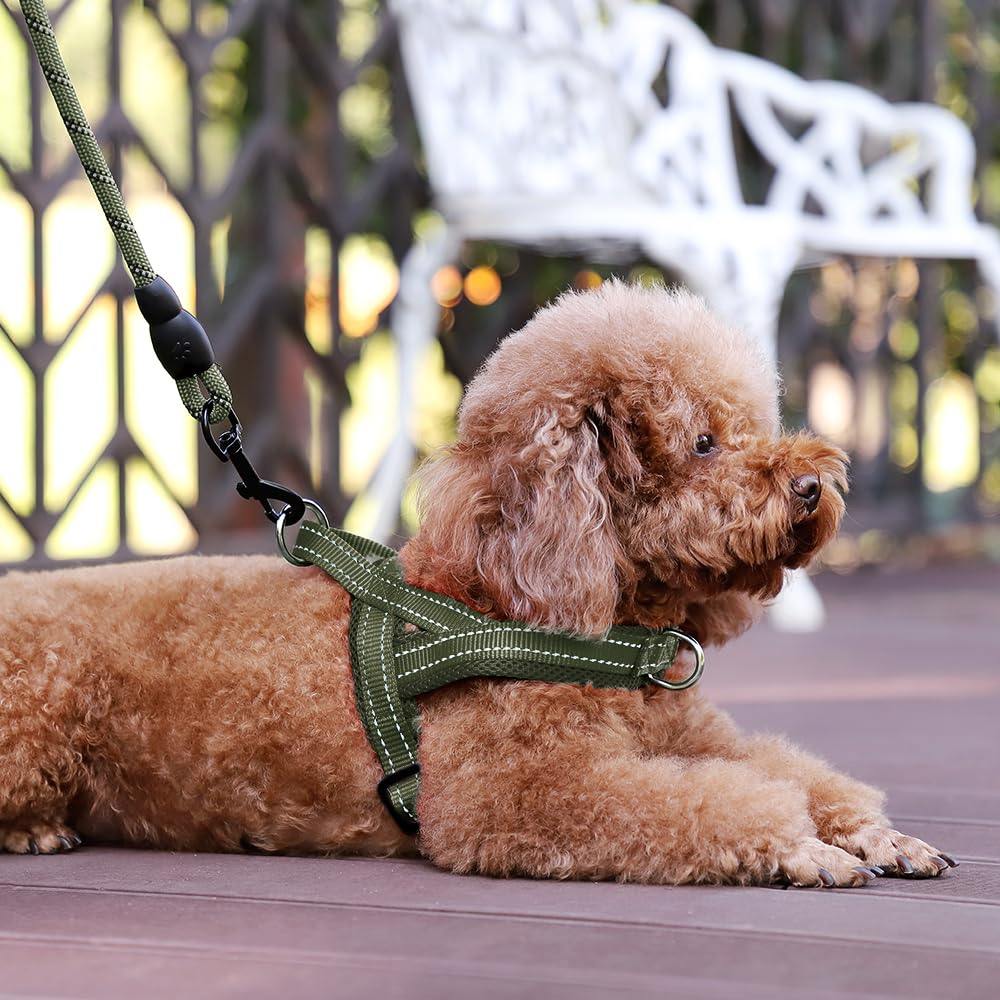 Arnés Plutus Pet de nylon resistente para uso prolongado.