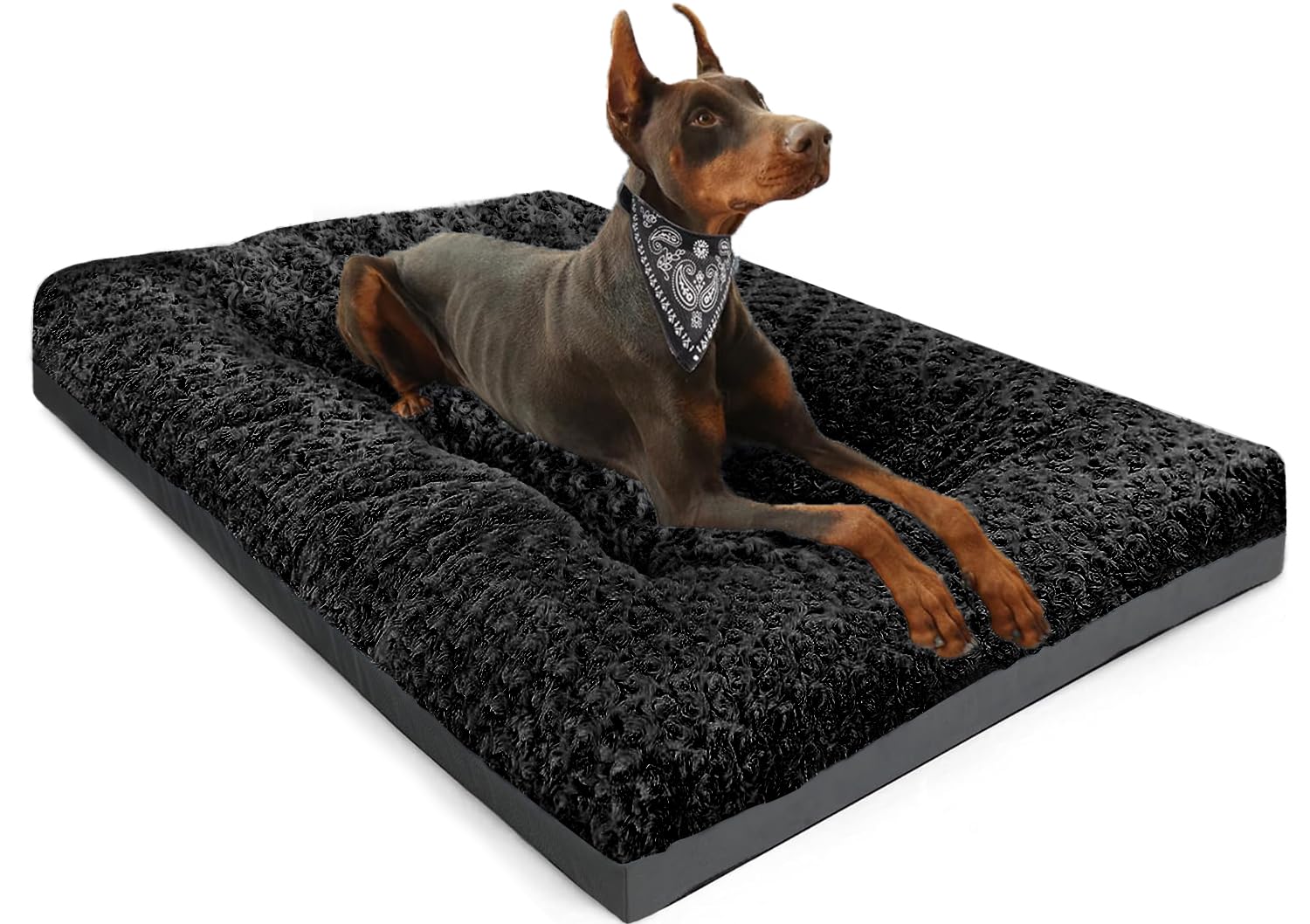 Cama POCBLUE Deluxe para perro de 35x23, descanso cómodo.