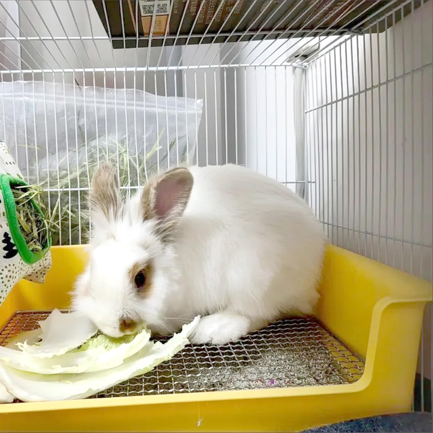 PODOO caja de arena para conejos: entrenamiento en casa con diseño práctico.