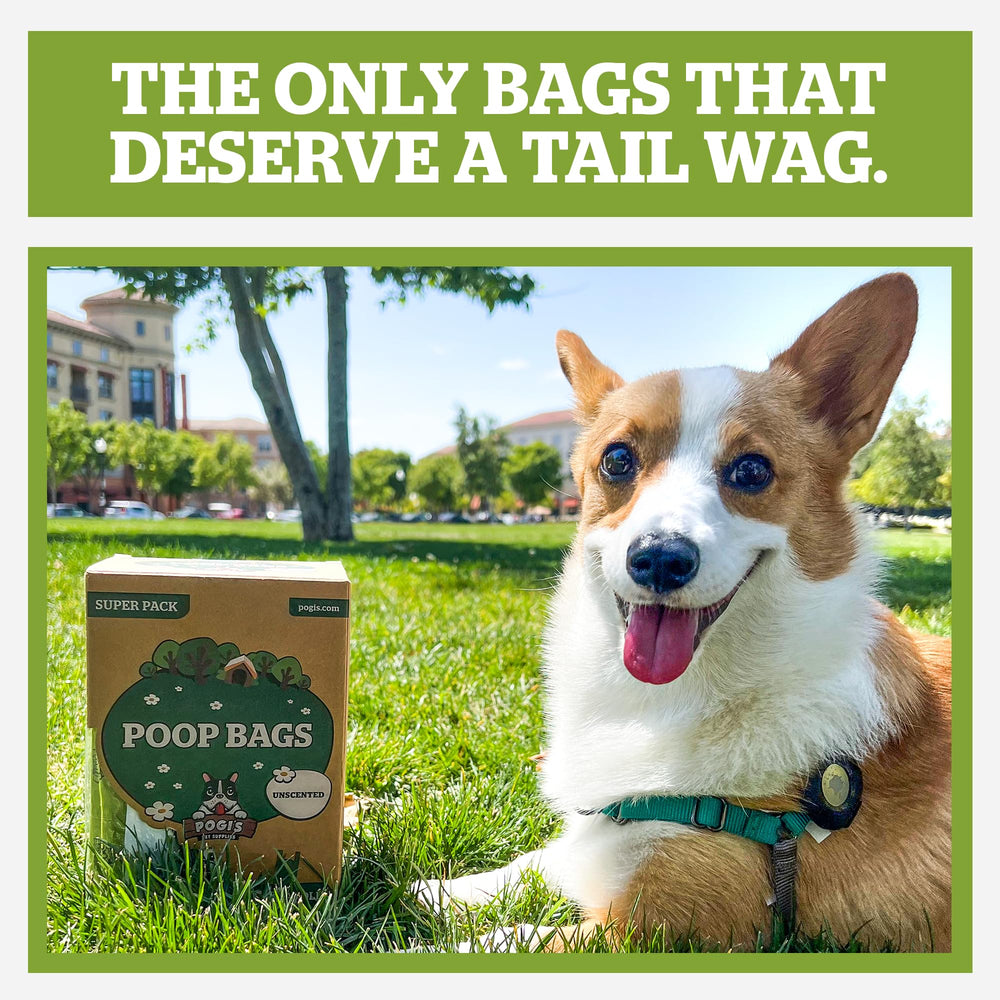 Bolsas para heces de perro Pogi's, extra gruesas y a prueba de fugas para grandes desechos.