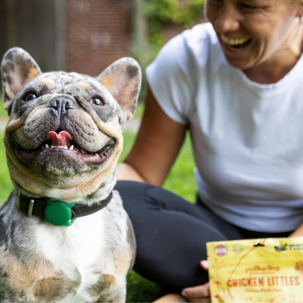 Polkadog Chicken Littles, sin conservantes, opción saludable para entrenamiento diario