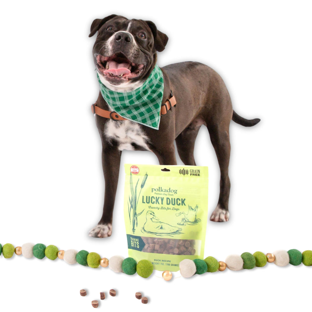Polkadog Lucky Duck Training Bits, para-todos-los-tamanos, apto para cachorros y adultos.