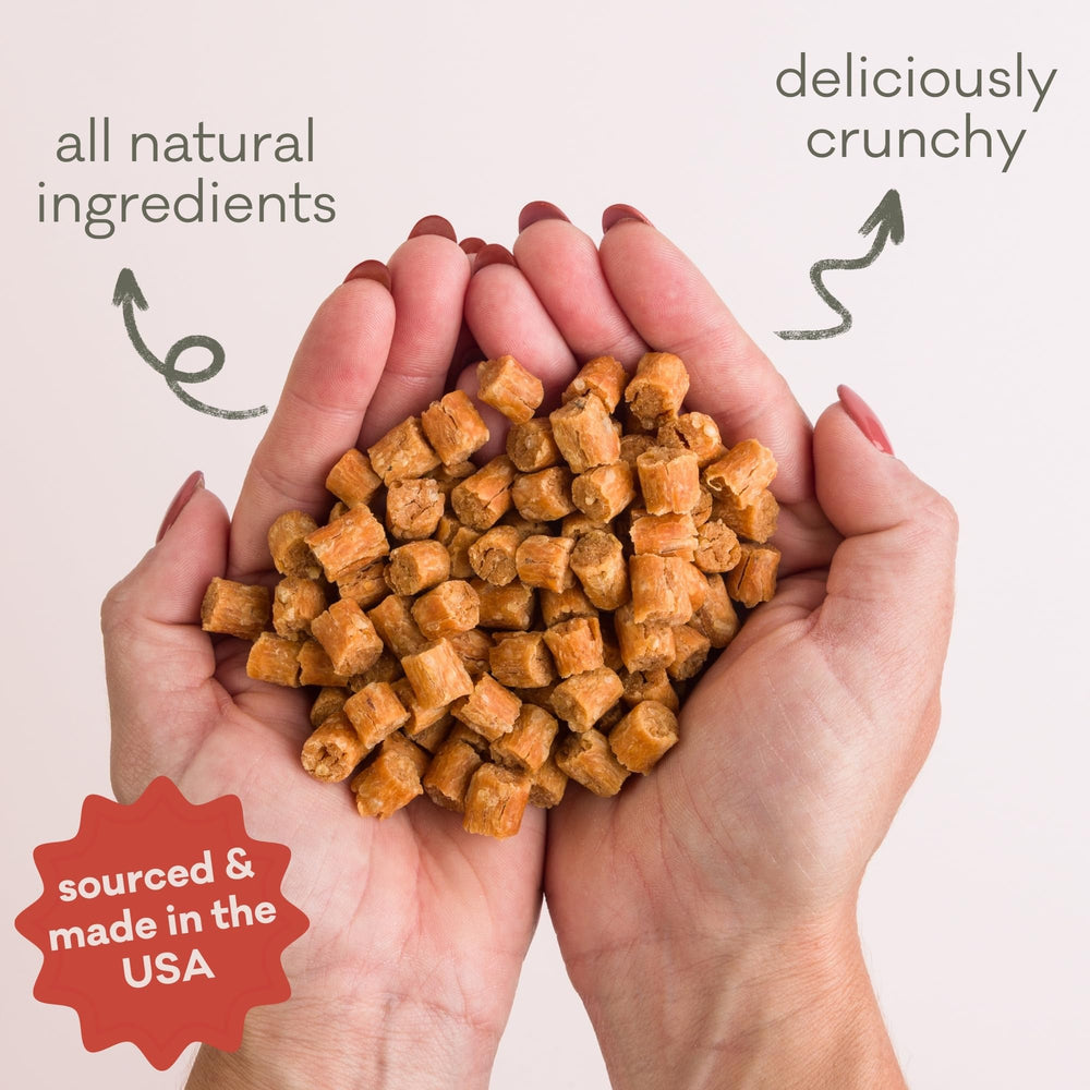 Polkadog Saumon riche en omega3, soutien potentiel pour peau et pelage