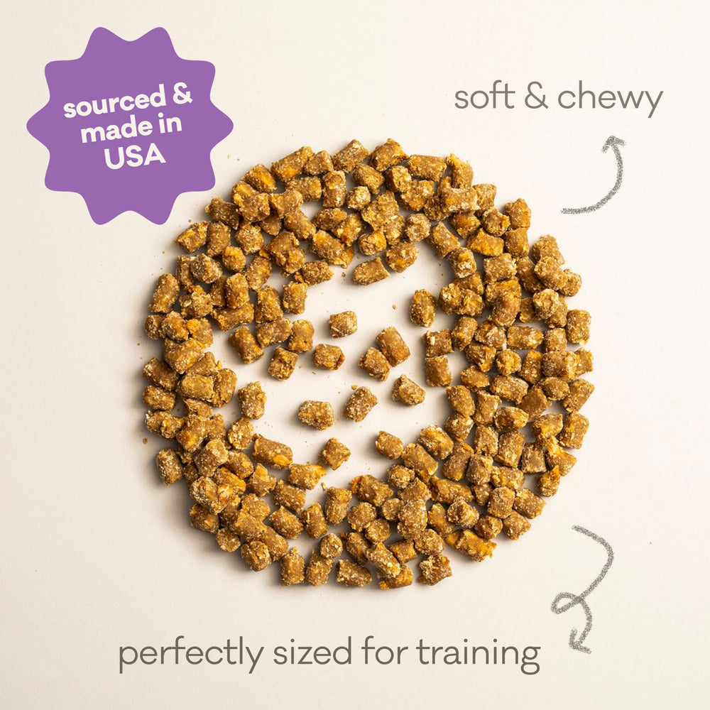 Tamaño de entrenamiento perfecto para refuerzo positivo en cada sesión.