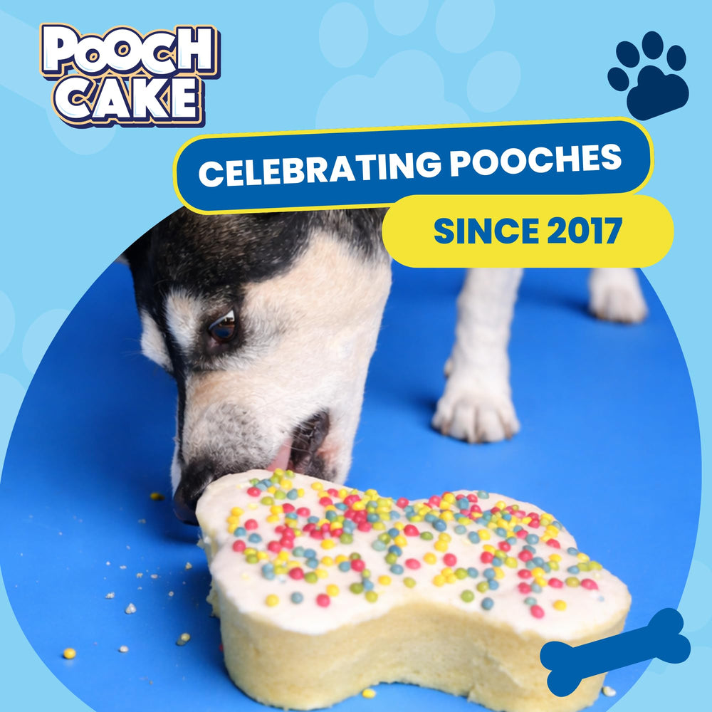 Pooch Cake pastel de dos capas, opción para una celebración grande.