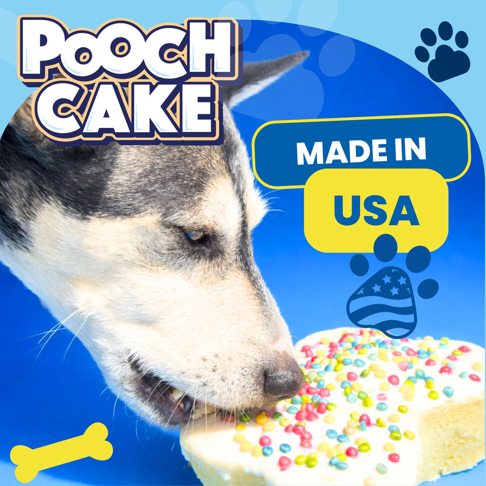Pooch Cake glaseado para perro, acabado sabroso y decorativo.