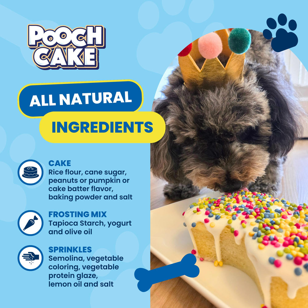 Pooch Cake mini pasteles para perro, porciones divertidas para la fiesta canina.