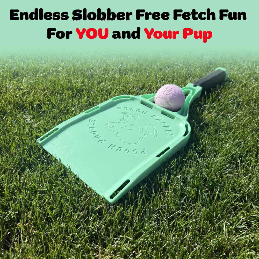 Pooch Paddle con 3 pelotas duraderas para juego prolongado