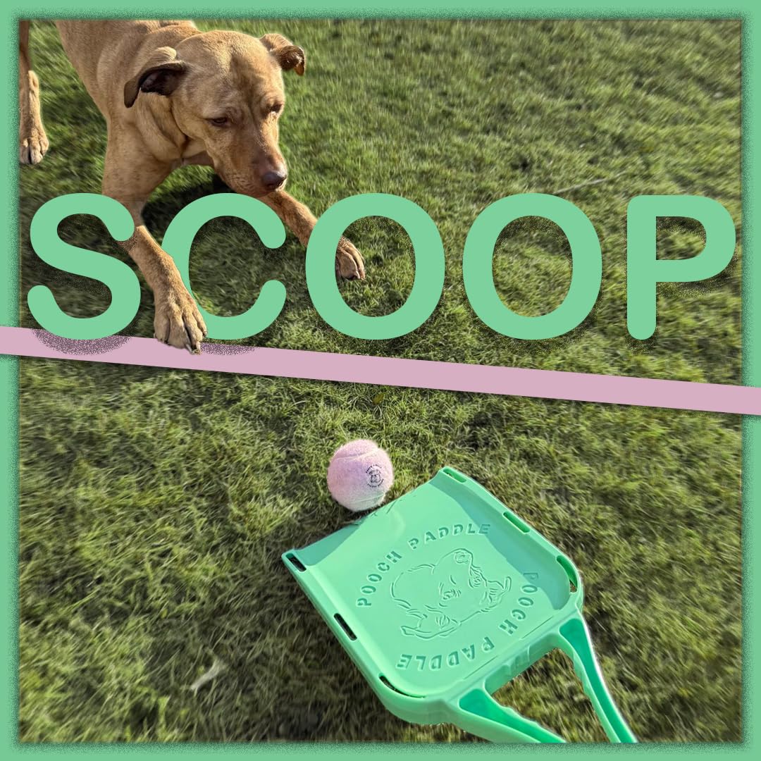 Pooch Paddle materiales resistentes para uso diario y mordidas entusiastas