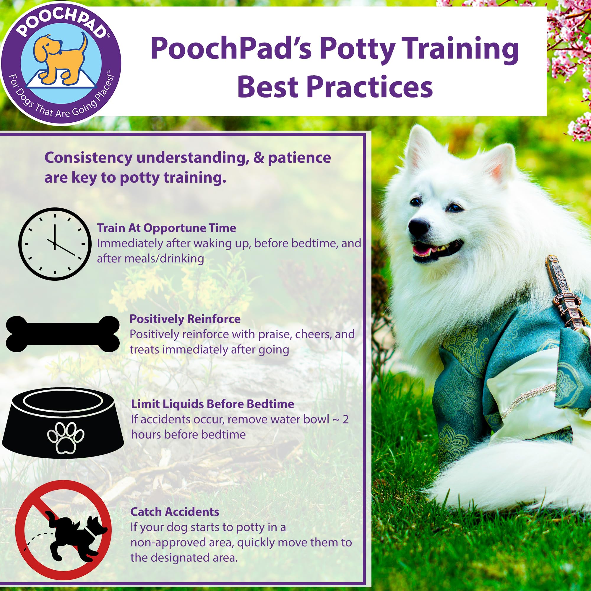 PoochPad: círculo de dos pulgadas para delimitar la zona de entrenamiento.