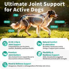 POPPAW movilidad diaria para perros con articulaciones más flexibles.