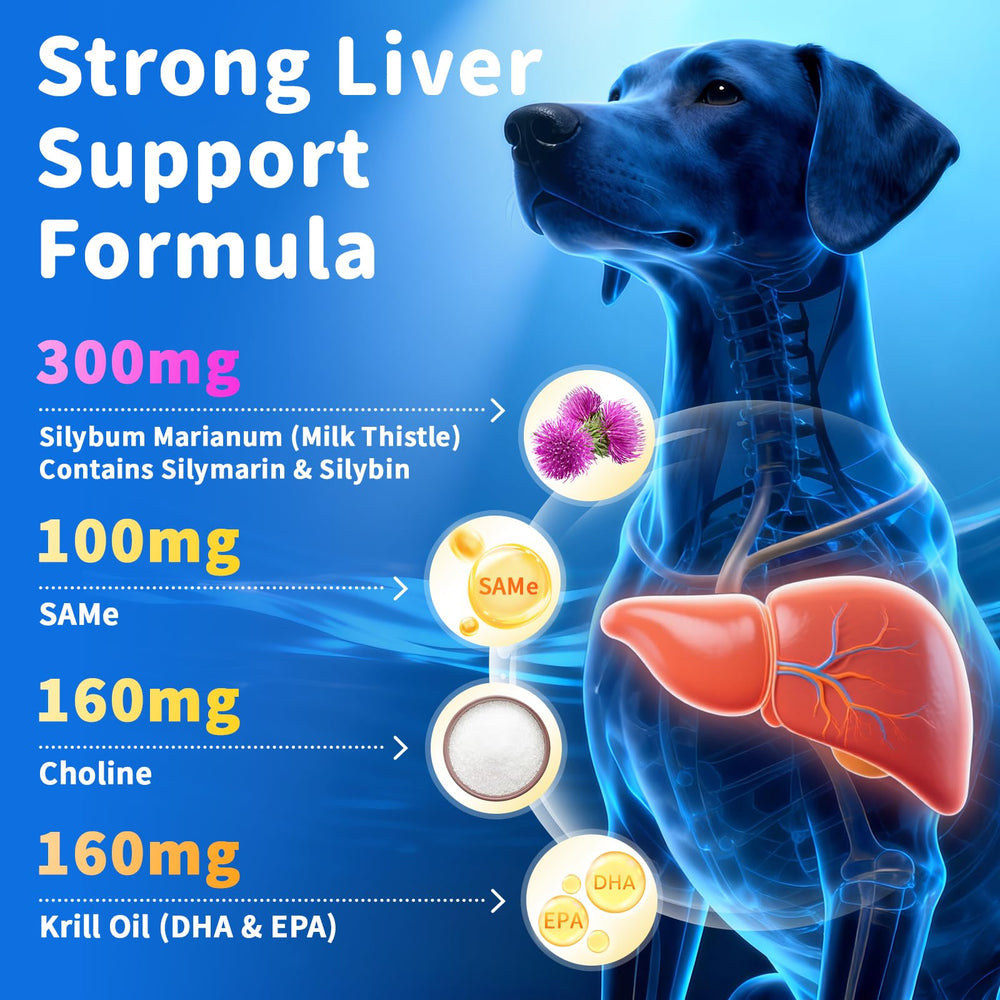 POPPAW Senior: glucosamina y MSM para soporte articular y flexibilidad.