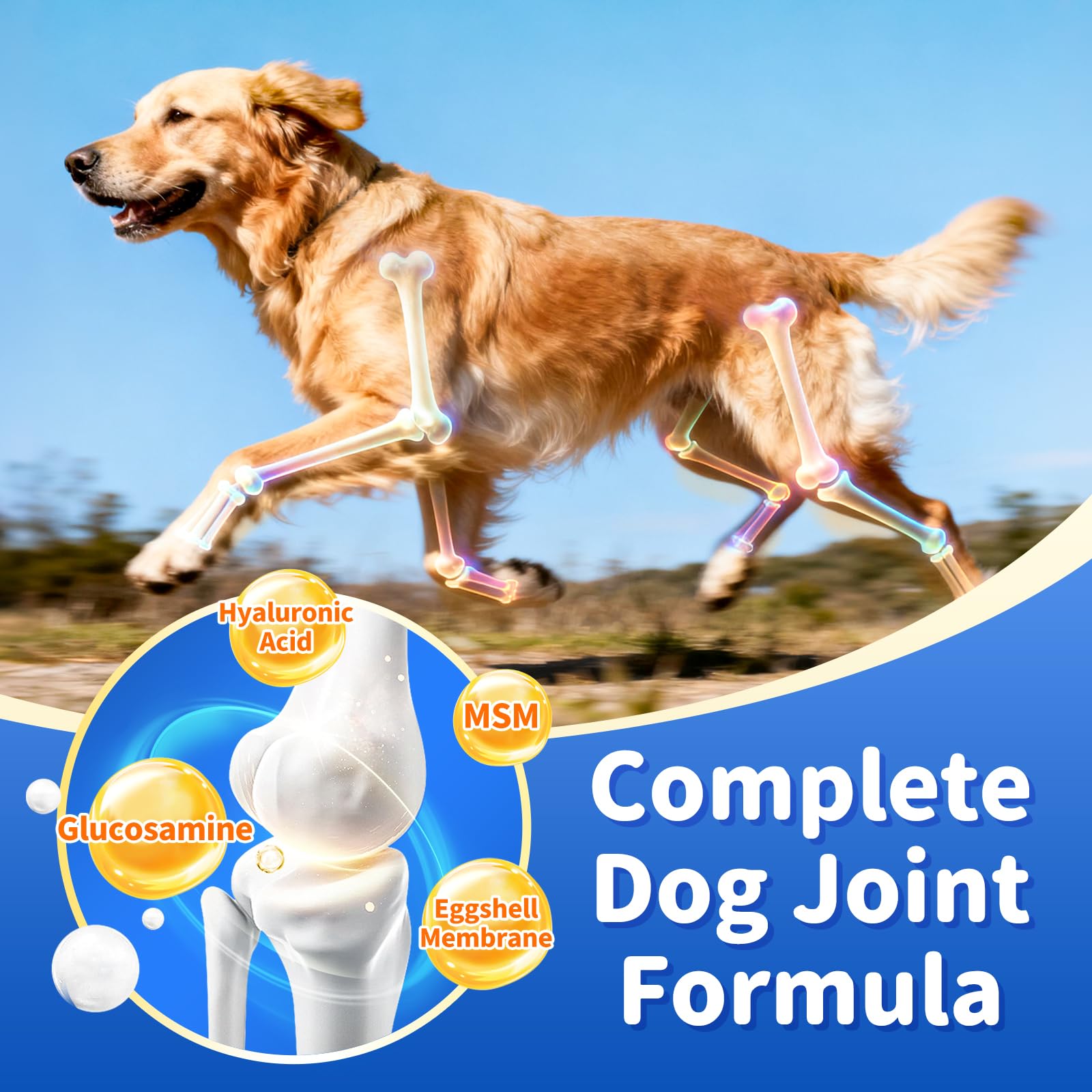 POPPAW Senior: masticables suaves con forma de corazón para perros mayores.