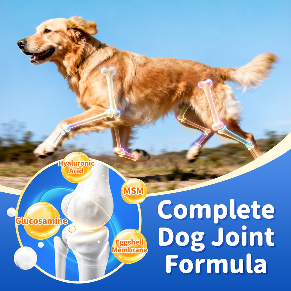 POPPAW Senior: masticables suaves con forma de corazón para perros mayores.
