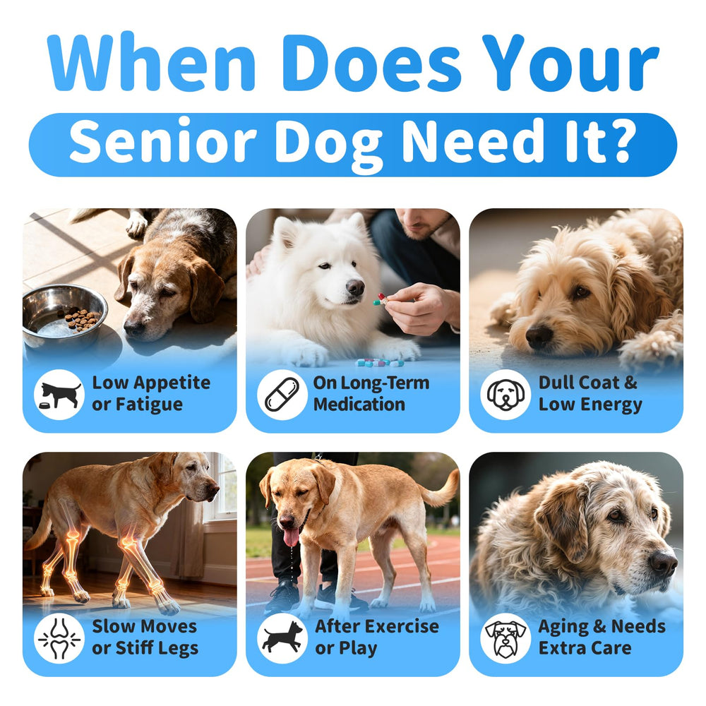 POPPAW Senior: sabor pollo natural, fácil de aceptar para perros sensibles.
