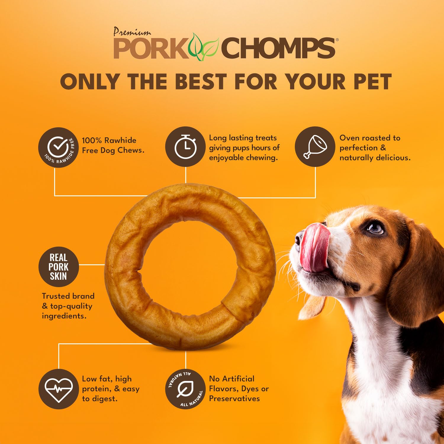 Perro masticando bagel Pork Chomps muestra textura firme para masticación prolongada.