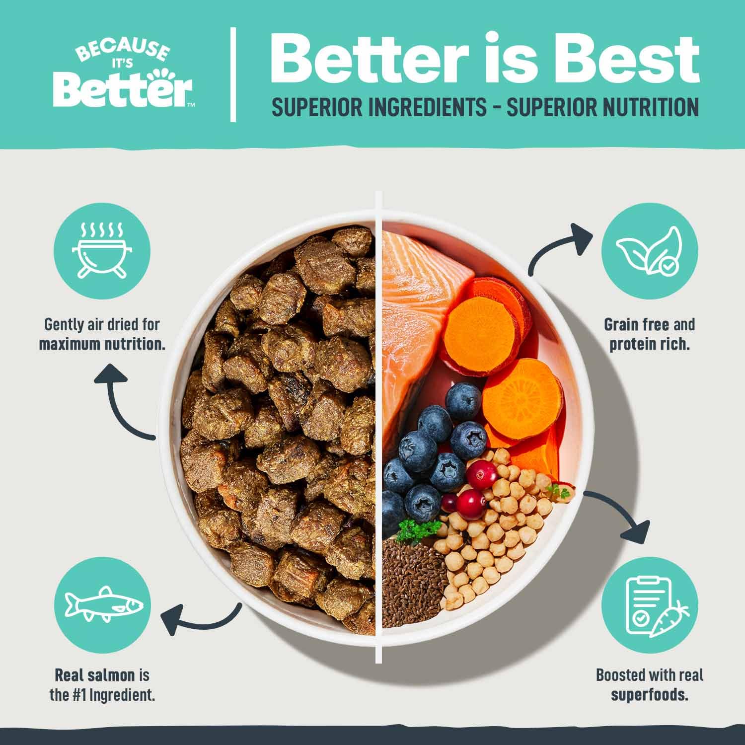 Porque Es Mejor proteína de alta calidad del salmón para perros activos