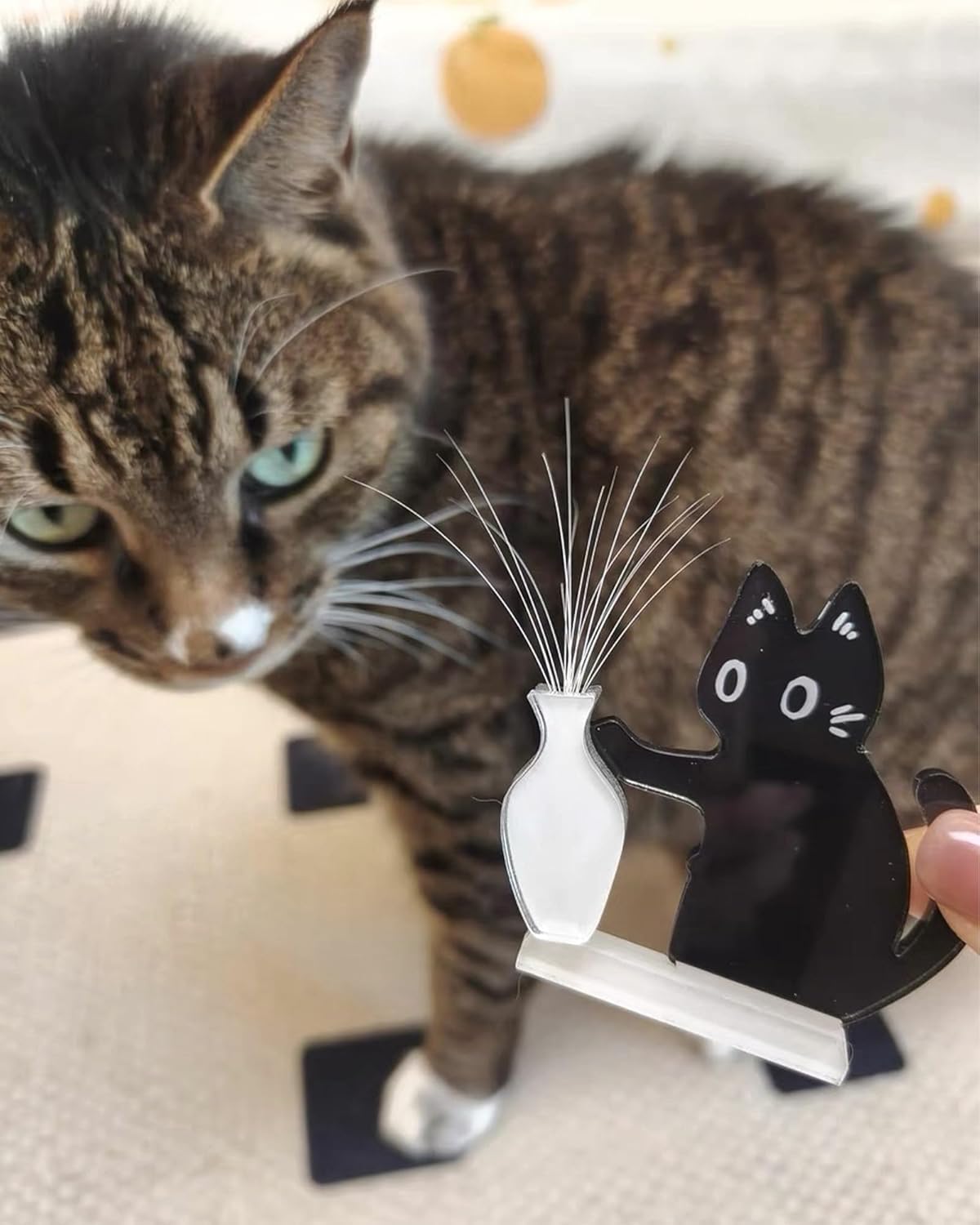 Portabigotes de gato acrílico: regalo ideal para amantes de los gatos