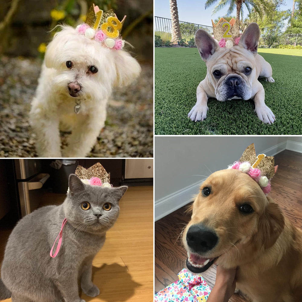 POSAPET ajuste elástico seguro, cómodo para perros y gatos de diferentes tamaños.