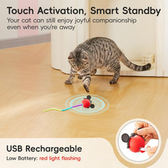 Potaroma diseño duradero de PC para gatos activos y juego prolongado.