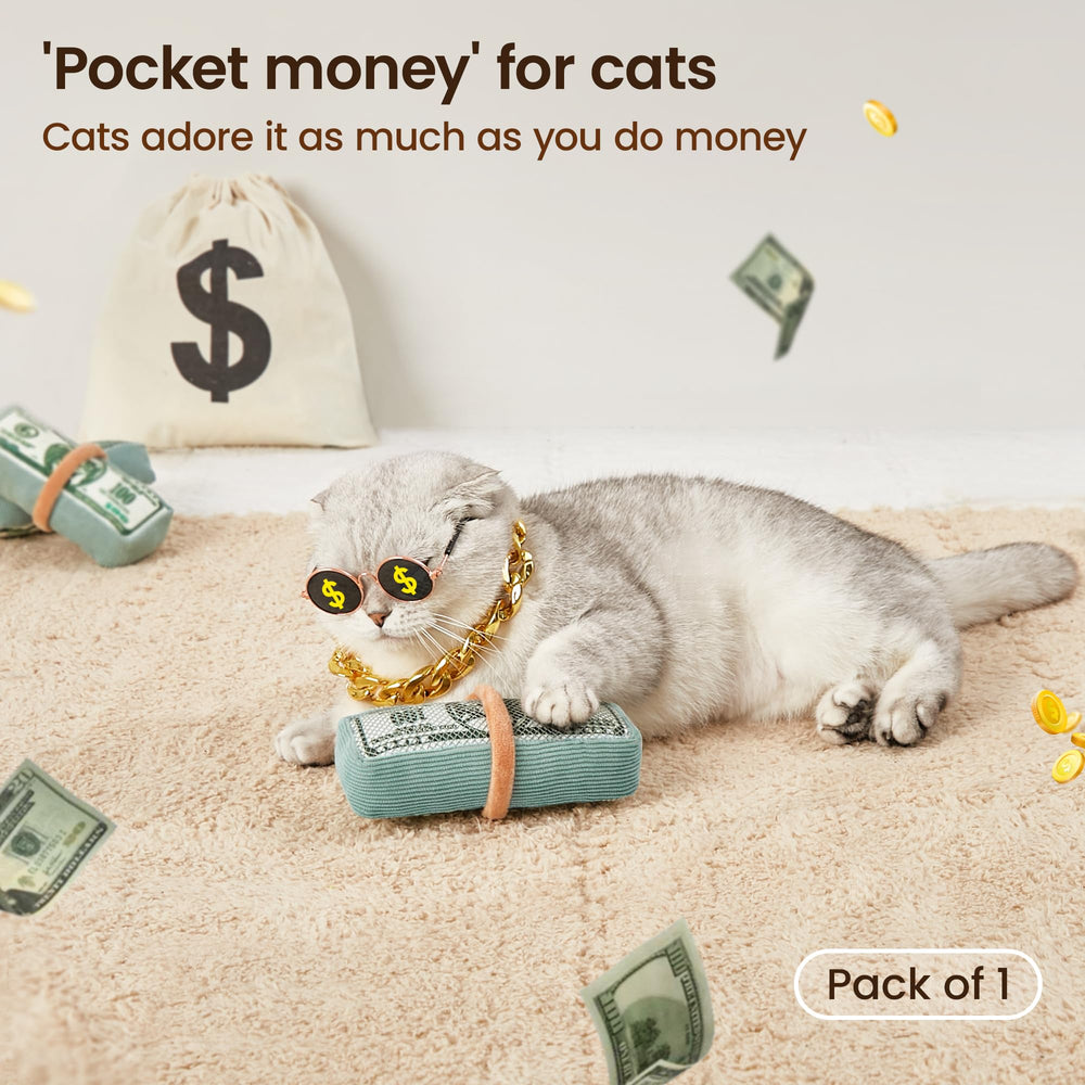 Potaroma juguete de interiores para mantener a tu gato activo
